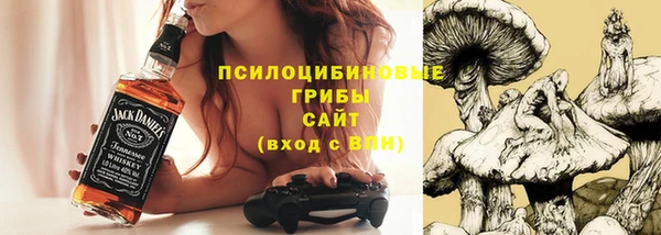 a pvp Богданович