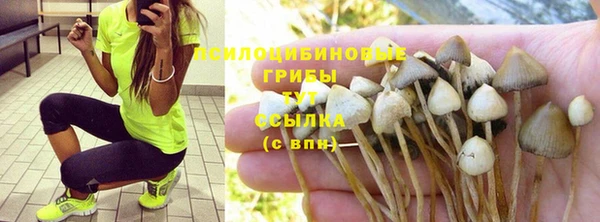 a pvp Богданович