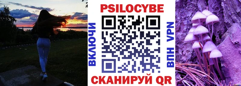 где купить наркотик  omg как зайти  Галлюциногенные грибы ЛСД  Юрьевец 
